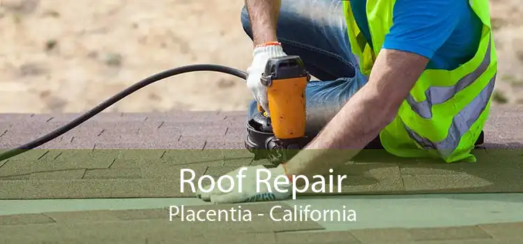 Roof Repair Placentia - California