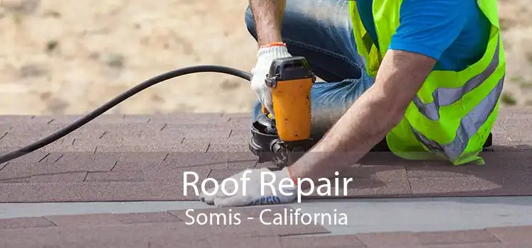 Roof Repair Somis - California