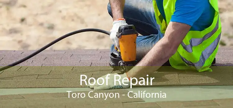 Roof Repair Toro Canyon - California