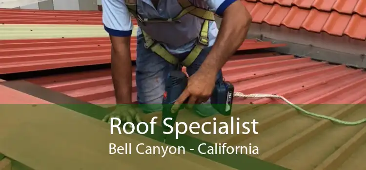 Roof Specialist Bell Canyon - California