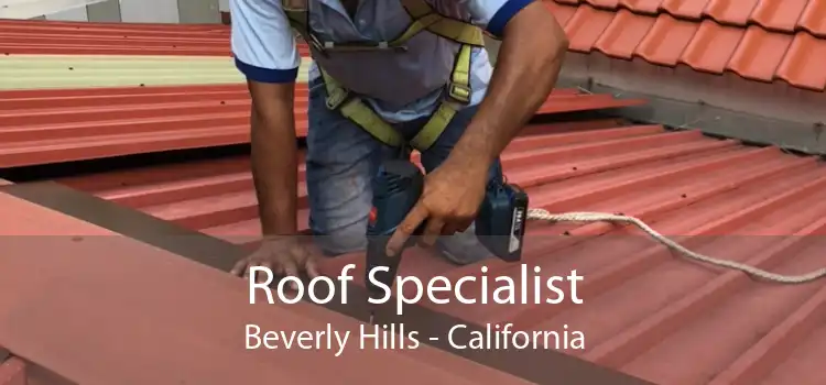 Roof Specialist Beverly Hills - California