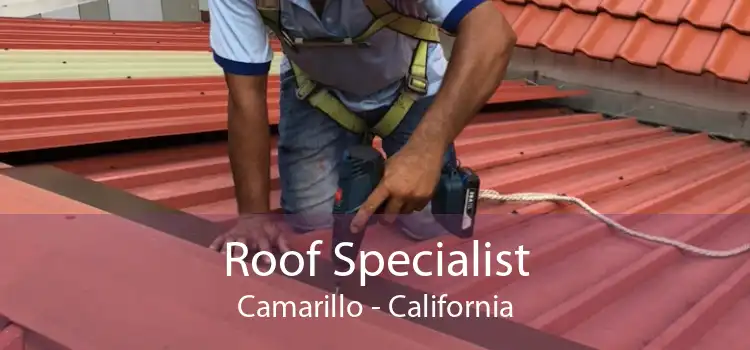 Roof Specialist Camarillo - California