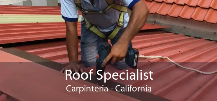 Roof Specialist Carpinteria - California