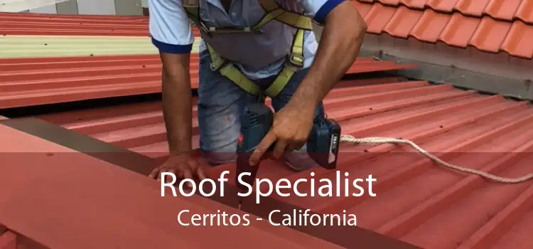 Roof Specialist Cerritos - California