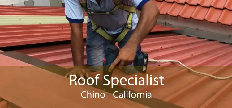 Roof Specialist Chino - California