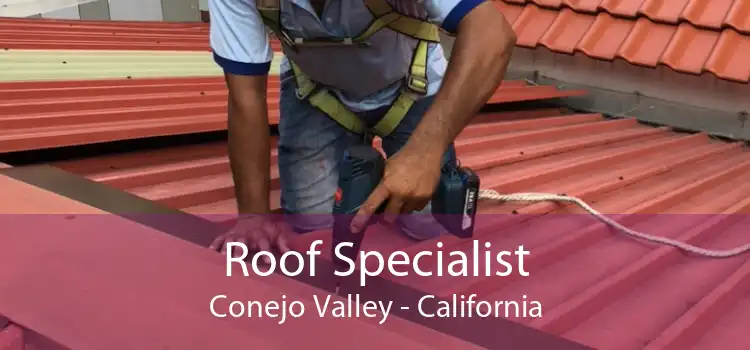 Roof Specialist Conejo Valley - California