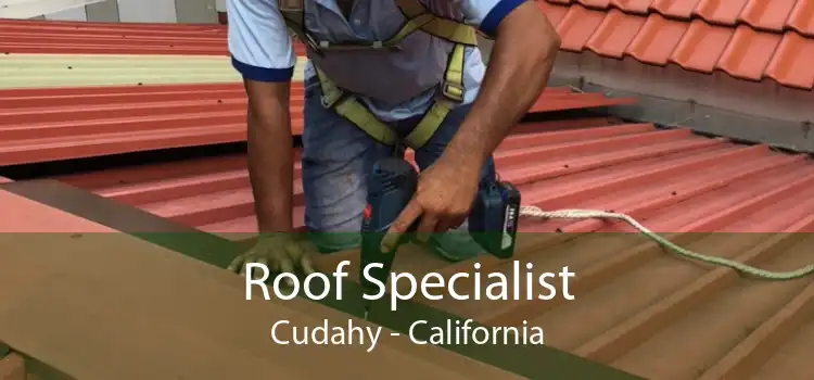 Roof Specialist Cudahy - California