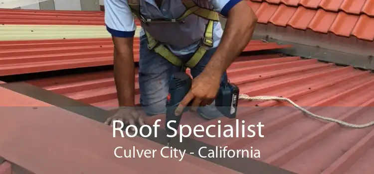 Roof Specialist Culver City - California