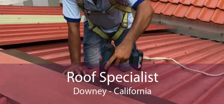 Roof Specialist Downey - California