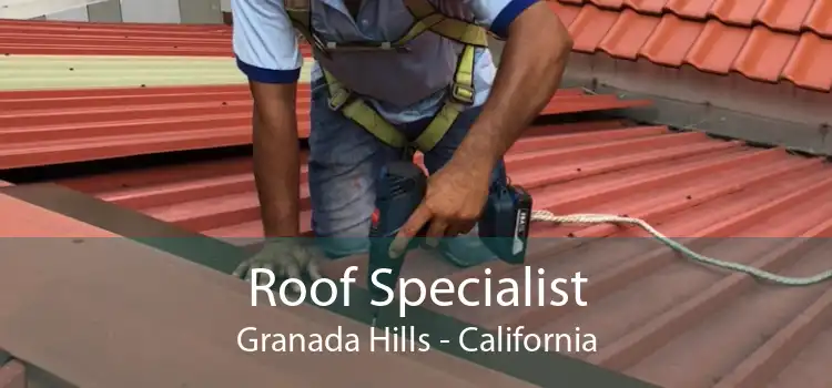 Roof Specialist Granada Hills - California