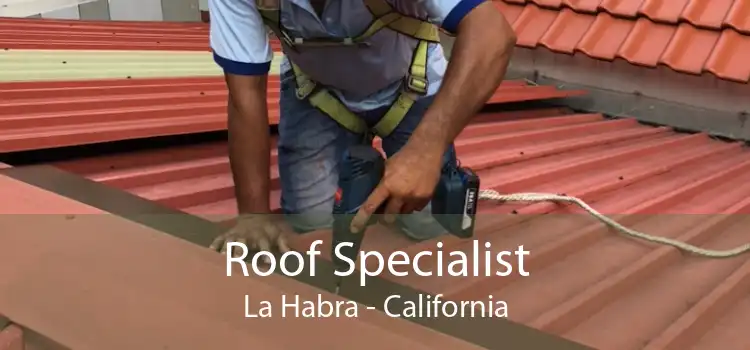 Roof Specialist La Habra - California