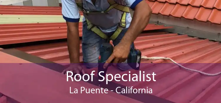 Roof Specialist La Puente - California