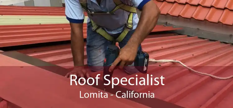 Roof Specialist Lomita - California