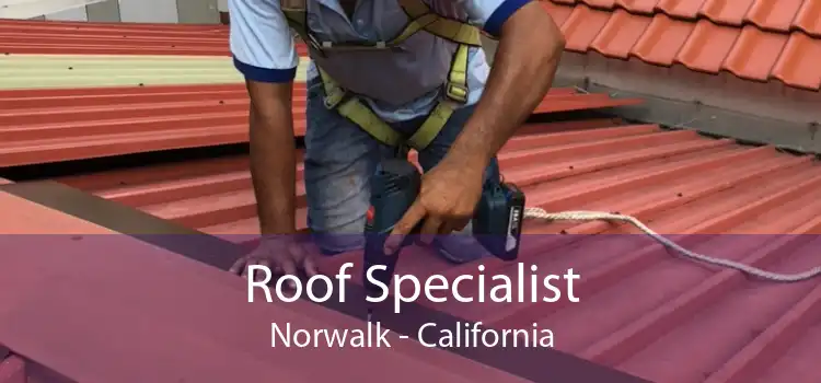 Roof Specialist Norwalk - California