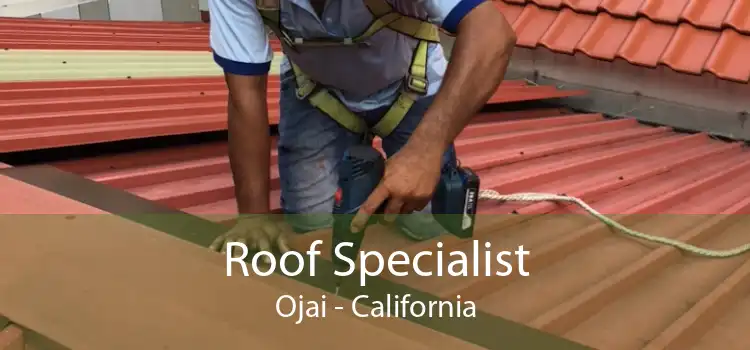 Roof Specialist Ojai - California