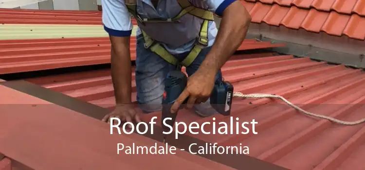 Roof Specialist Palmdale - California