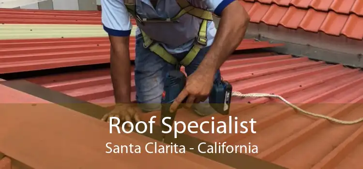 Roof Specialist Santa Clarita - California