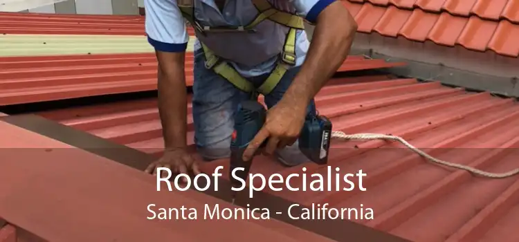 Roof Specialist Santa Monica - California