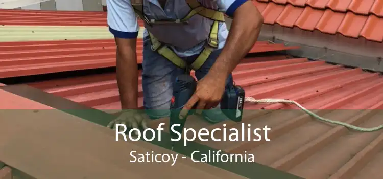 Roof Specialist Saticoy - California