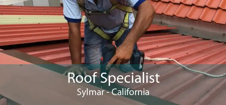 Roof Specialist Sylmar - California