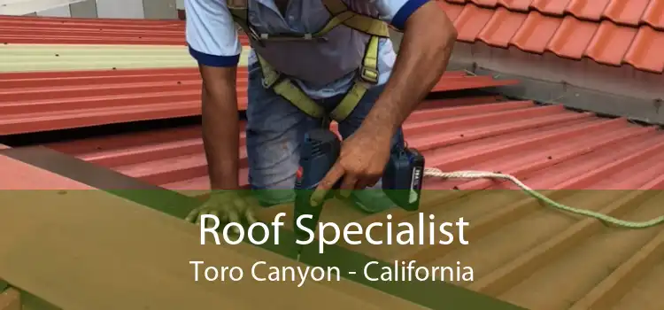 Roof Specialist Toro Canyon - California