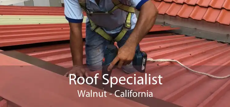 Roof Specialist Walnut - California