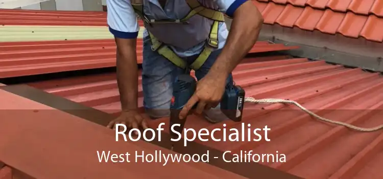 Roof Specialist West Hollywood - California