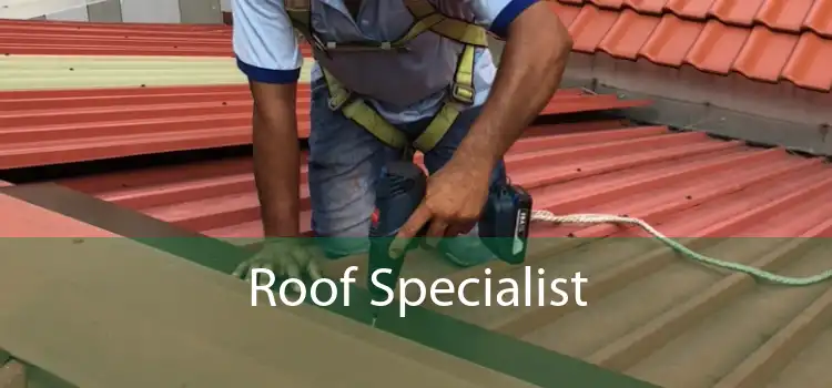 Roof Specialist 