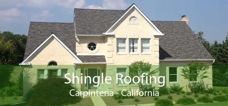 Shingle Roofing Carpinteria - California