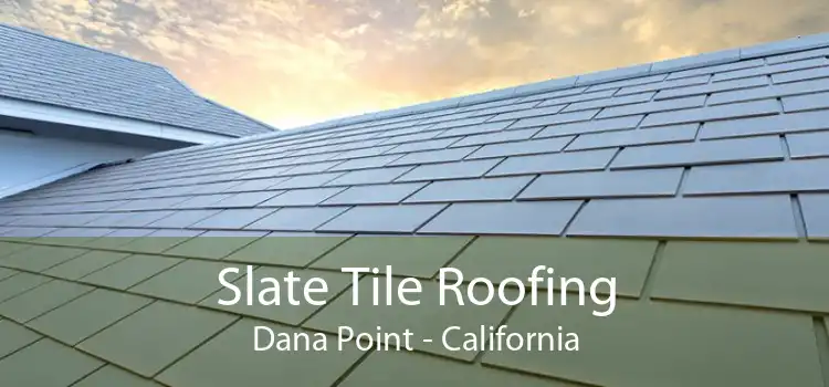 Slate Tile Roofing Dana Point - California