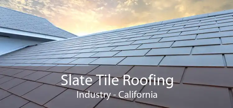 Slate Tile Roofing Industry - California