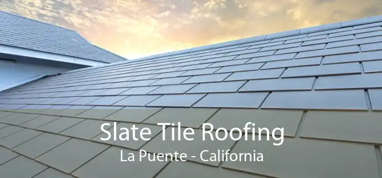 Slate Tile Roofing La Puente - California