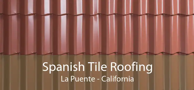 Spanish Tile Roofing La Puente - California