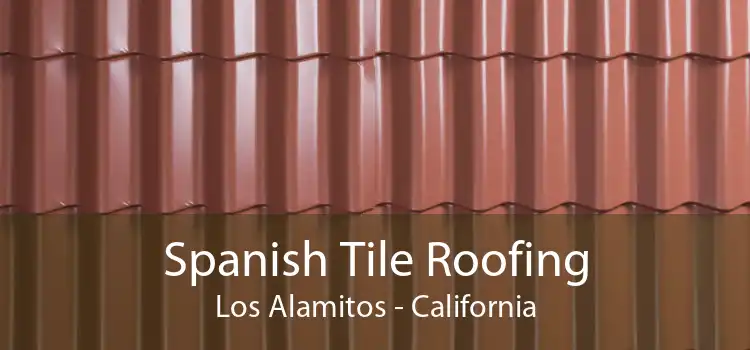 Spanish Tile Roofing Los Alamitos - California