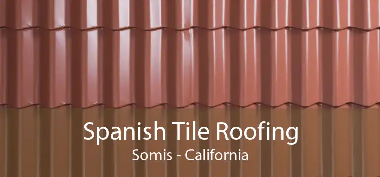 Spanish Tile Roofing Somis - California