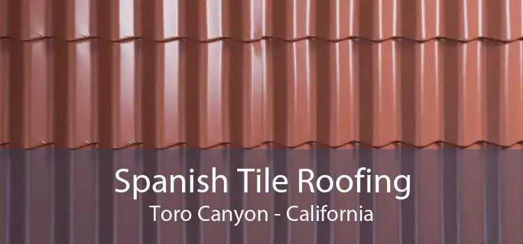 Spanish Tile Roofing Toro Canyon - California