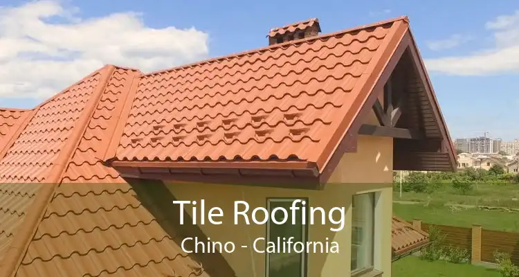 Tile Roofing Chino - California