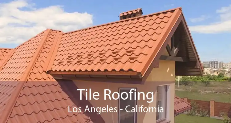 Tile Roofing Los Angeles - California