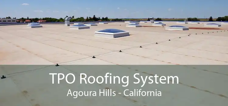 TPO Roofing System Agoura Hills - California