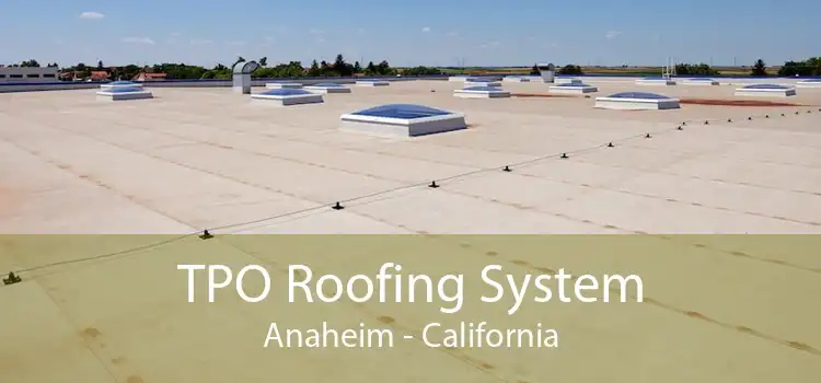 TPO Roofing System Anaheim - California