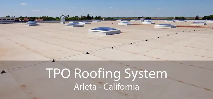 TPO Roofing System Arleta - California