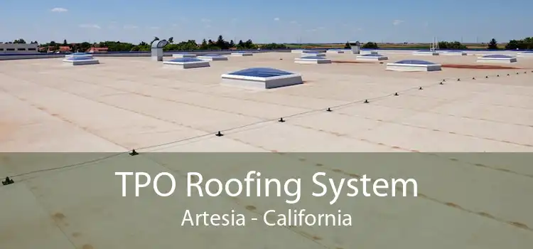 TPO Roofing System Artesia - California