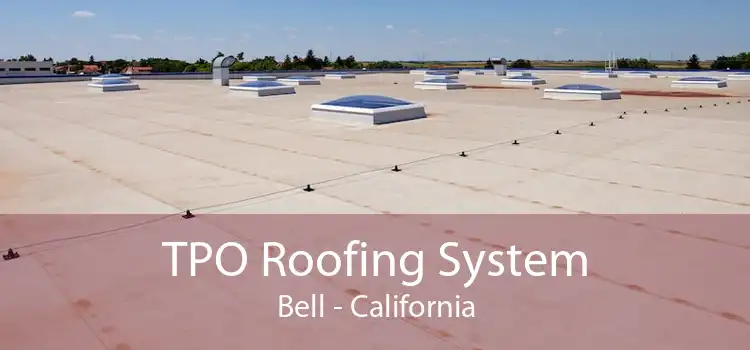 TPO Roofing System Bell - California