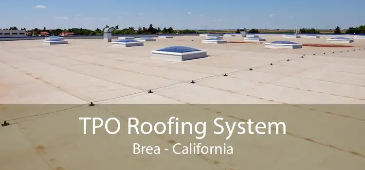 TPO Roofing System Brea - California