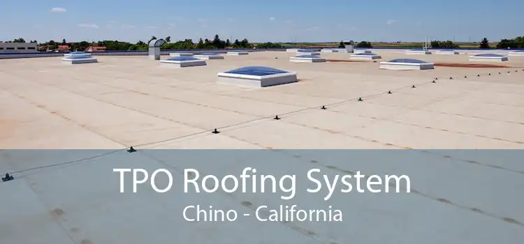 TPO Roofing System Chino - California