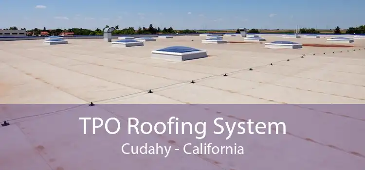 TPO Roofing System Cudahy - California