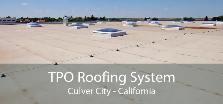 TPO Roofing System Culver City - California