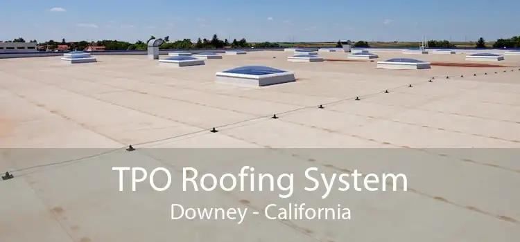 TPO Roofing System Downey - California