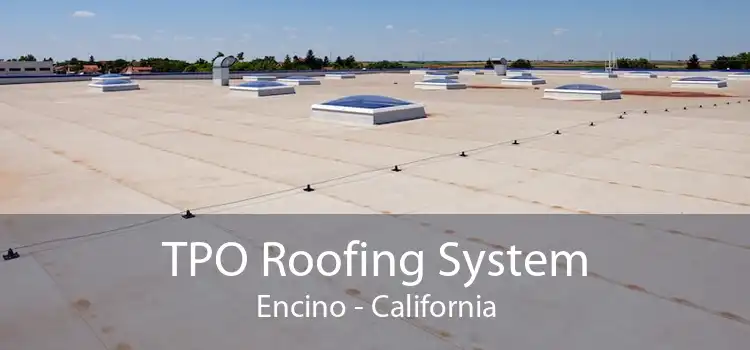 TPO Roofing System Encino - California