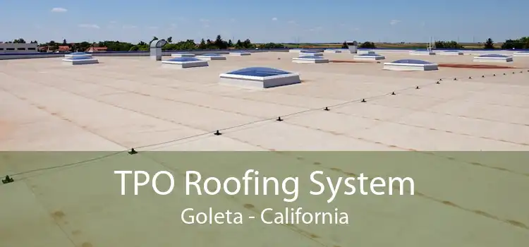 TPO Roofing System Goleta - California